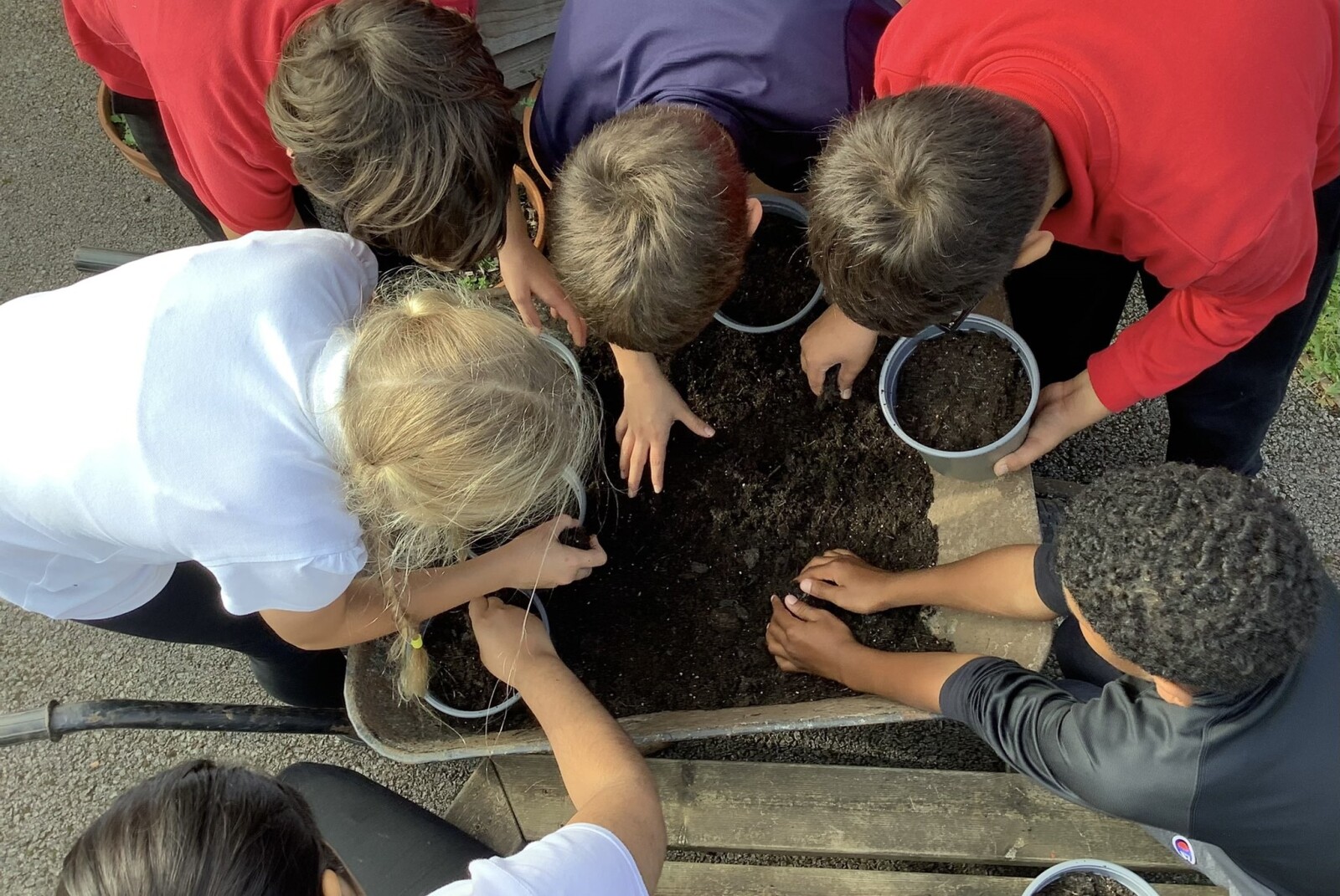 A photograph looking down on six schoolchildren who are filling up pots with soil from a wheelbarrow